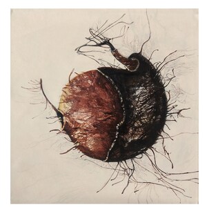 Sonam Sikarwar - Emerging Indian artist, Colorful and textured, vision eyes eye