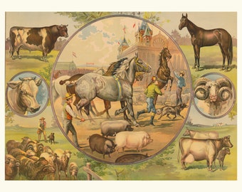 Vintage Farm Animals Print, Restored 1800s Horse & Cattle Art