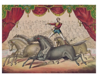Circus Horse, Equestrian vintage poster print from the 1800's. Beautifully restored in vivid colors on museum quality paper and pigment ink.