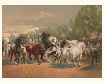 Horses, Equestrian Vintage Lithograph print from the 1800's. Beautifully restored in vivid colors on museum quality paper and pigment ink.
