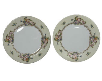Meito China Hand Painted Floral Plates Set of 2 Japan 9.75” Vintage