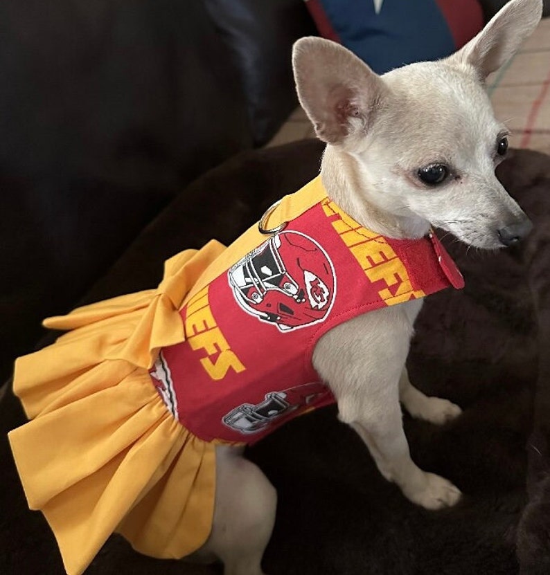 May include: A small dog wearing a red and yellow pet dress. The dress features the text "CHIEFS" and a football helmet graphic. The skirt is a bright yellow color.