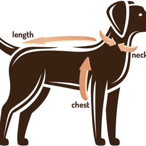 May include: A brown dog illustration with white outlines, showing measurement points for pet clothing. Arrows indicate where to measure length, neck, and chest for accurate sizing. The text labels the measurement points.