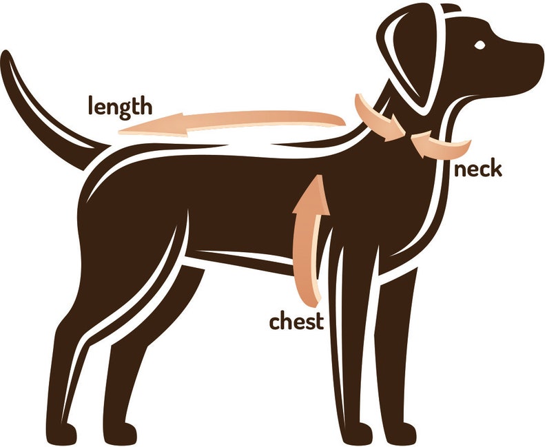 May include: A brown dog illustration with white outlines, showing measurement points for pet clothing. Arrows indicate where to measure length, neck, and chest for accurate sizing. The text labels the measurement points.