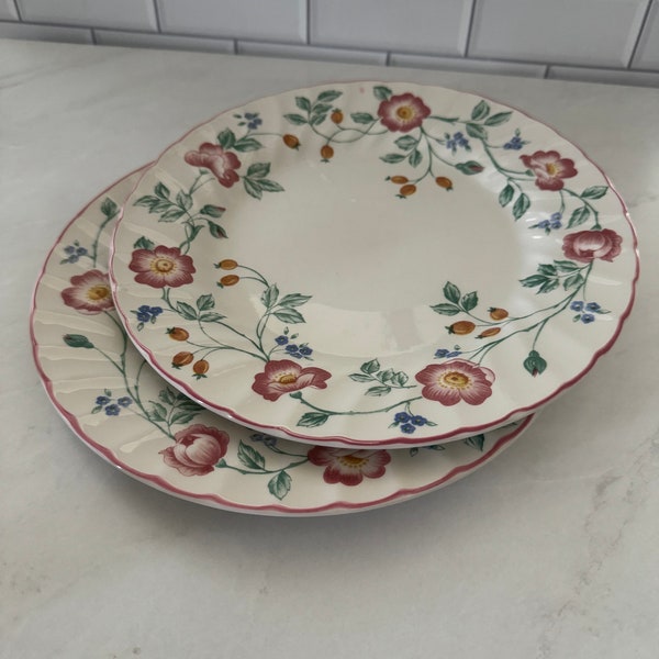 2pc Vintage Churchill Briar Rose Dinner Plate Set Staffordshire England Fine English Tableware