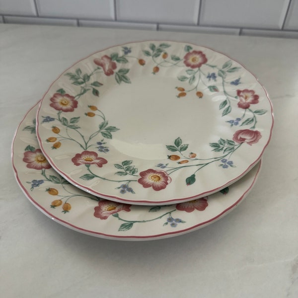 2pc Vintage Churchill Briar Rose Salad Lunch Plate Set Staffordshire England Fine English Tableware