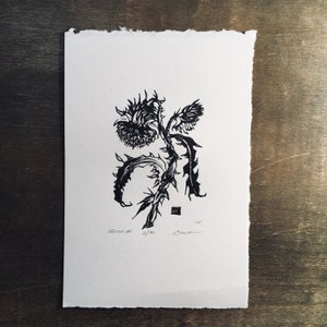 Distel II