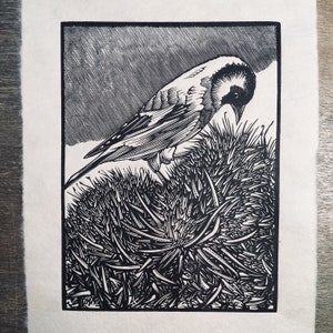 A Little Bird Told Me So