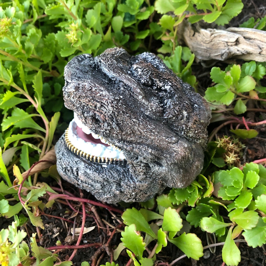 Toothy Smiling Zipper Rock With A Twist of Roots. Unique Garden Art
