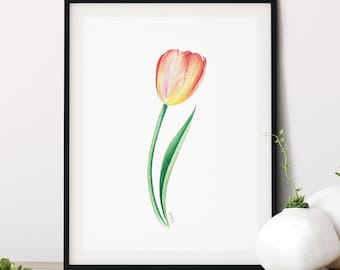 Tulpenblumendruck, Aquarellmalerei, Botanischer Druck, Blumenwandkunst, Housewarminggeschenk Erstes Haus, bunte Blumenmalerei, Tulpenkunst