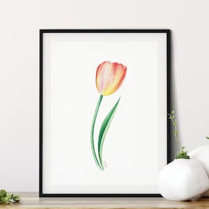 Impression de fleurs de tulipes, peinture à l'aquarelle, impression botanique, art mural floral, cadeau de pendaison de crémaillère pour une première maison, peinture de fleurs colorées, art de tulipes