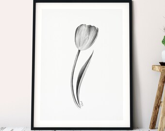 Tulpenblume Aquarell Malerei, Schwarz Weiß Druck, Blumen Aquarell Illustration, Neutrale Wand Drucke, Blumen Skizze, Housewarming
