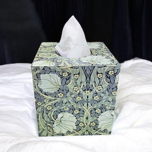 May include: A patterned tissue box featuring a floral design in green, blue, and cream. The box is rectangular and contains white tissues. The design includes stylized flowers and leaves.