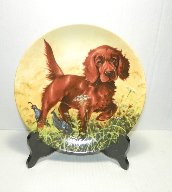Irish setter deals 88