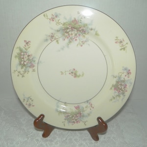 Apple Blossom New York by Theodore Haviland 10 1/4&quot; Dinner Plate