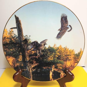 May include: Decorative plate featuring a detailed painting of eagles in a natural landscape. The plate has a gold rim and is displayed on a wooden stand. The artwork depicts two eagles, one perched on a tree and another in flight, with a backdrop of trees and a body of water.