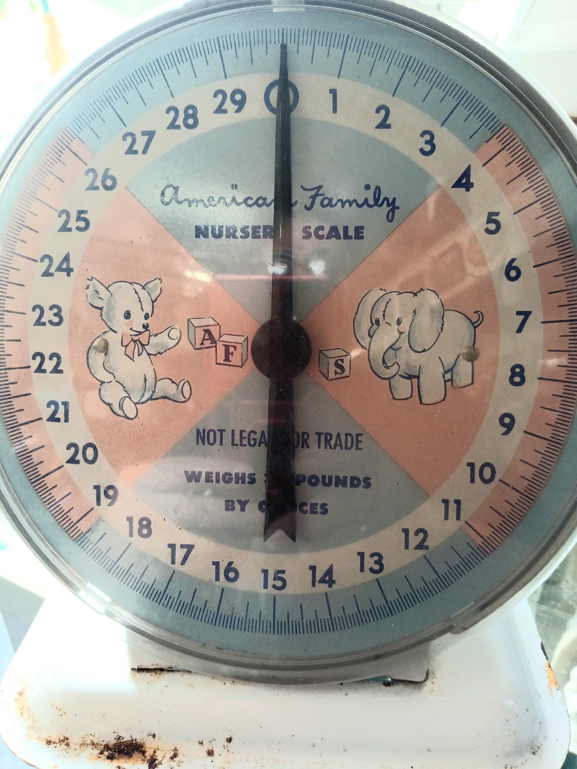 Vintage 1960s American Family Nursery Baby Scale | Pink & Blue