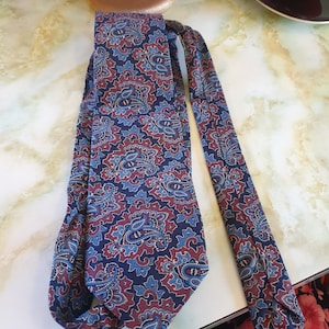 Può includere: Una cravatta blu e rossa con motivo paisley e un design lungo e sottile. La cravatta è realizzata in tessuto setoso e ha un aspetto classico.