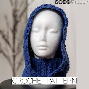 Crochet Pattern | Alpine Stitch Turtleneck Hood | Cowl Neck | PDF Download