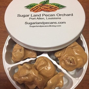 May include: A white tin with a lid featuring the text "Sugar Land Pecan Orchard" and a pecan illustration. The tin contains several light brown pecan candies in a white divided tray. The candies have a glossy finish.