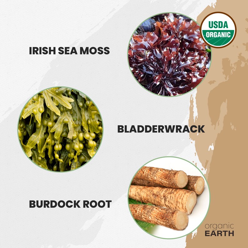 Sea Moss Bladderwrack & Burdock Root Powder USDA ORGANIC image 7