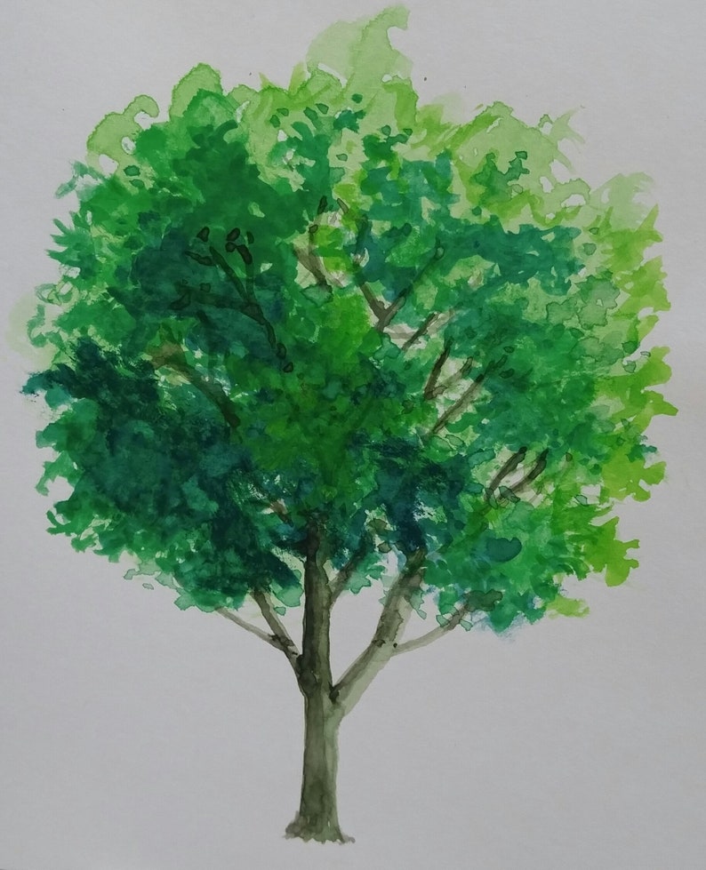 Green Tree Greeting Card PRINT