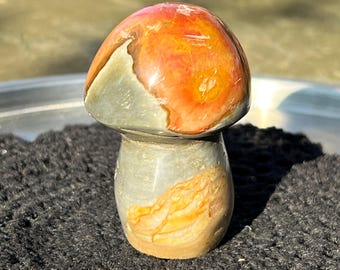 Crystal mushroom large Jasper Polished multicolor Red blue polychrome generator semi sphere