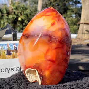 May include: A large, orange, red, and white carnelian crystal point with a natural, rough, and textured surface. The crystal is sitting on a black, fuzzy surface.