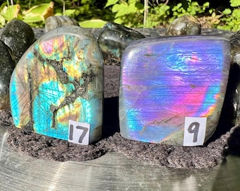 Labradorite Freeform Standing mini Blue Red Purple Flash Spectrolite - You Pick