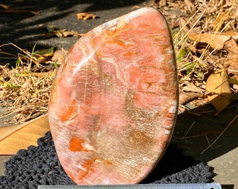 4lb Petrified wood Standing crystal ball large freeform madagascar crystal