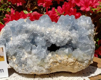 Celestite geode 5.7" large crystal geodes XL blue color Pounds LB lbs