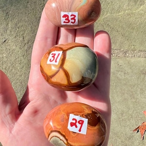 May include: Three polished stones in shades of brown, orange, and cream are displayed. Each stone has a unique pattern and is labeled with a number on a small white sticker: 33, 31, and 29. The stones are held in a hand.