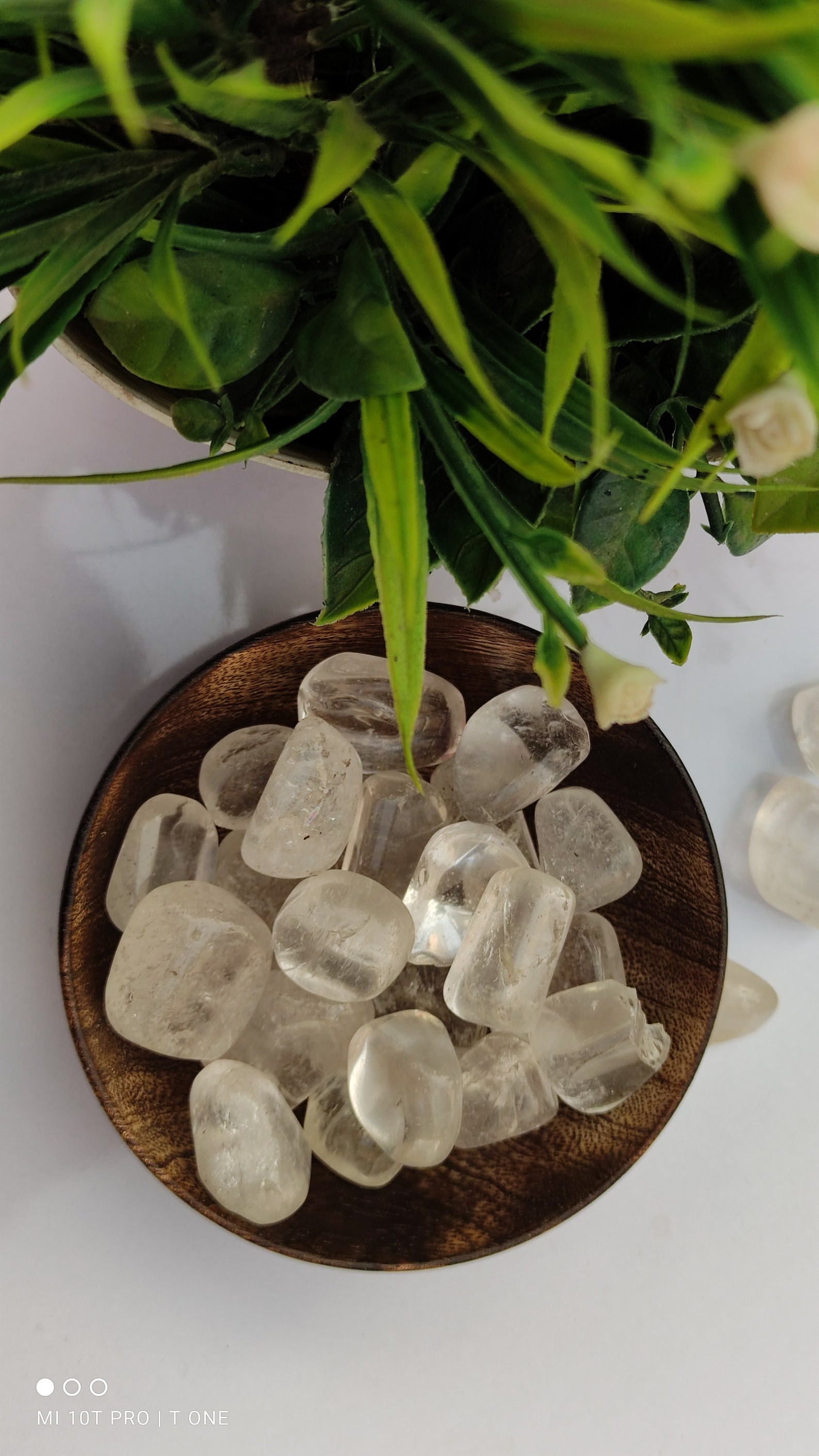 20 Piece Tumblefree Wooden Bowlstones Polished Tumbled | Etsy