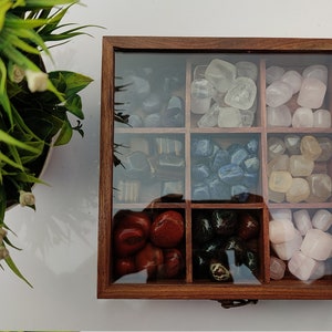 SmartyRocks Adjustable Rock Display Case - Rock Collection Box with Fabric  Bed