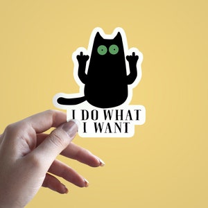 Autocollant de chat noir meurtrier, cadeau de décalcomanie je fais ce que je veux, signe Fuck You, autocollant d’ordinateur portable cool, autocollant Crazy Meow, autocollant de coupe de baiser d’amant de chat