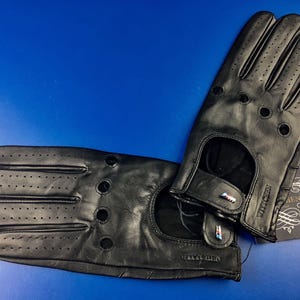 May include: A pair of black leather driving gloves with perforated detailing and a small logo on the wrist.