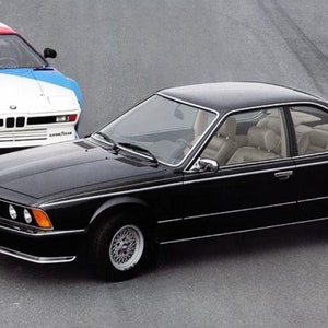 BMW E24 ZILVER M-Technic Decor Volledige set stickers (8pcs/8tlg)