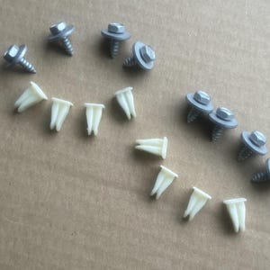 Può includere: Un assortimento di elementi di fissaggio per auto, tra cui viti argentate con testa esagonale e rondelle grigie, insieme a rivetti a pressione in plastica bianco sporco. I componenti sono disposti su una superficie neutra.