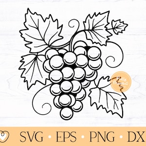 Raisin svg, Grappe de raisin svg, Grape Vine svg
