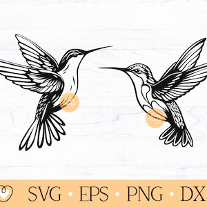 Hummingbird svg, Hummingbird flying svg, png, dxf
