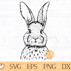 Bunny SVG, Bunny Face SVG, paashaas SVG, konijn SVG, PNG-bestand