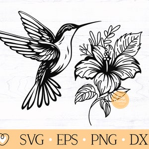 Hummingbird with Hibiscus svg, Hummingbird Flower svg, png, dxf