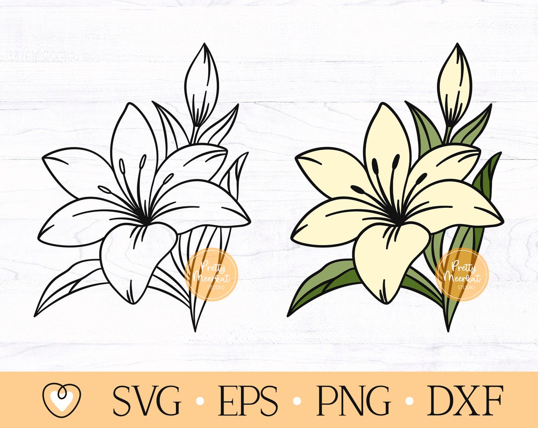 Lily Svg, Lily Flower Svg, Lily Cut File Etsy