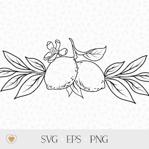 Limone svg, Bordo limone svg, Ramo albero svg, Agrumi png