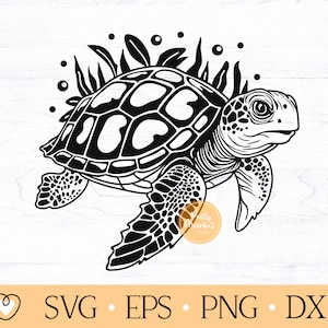 Turtle svg, Sea Turtle svg, png, dxf files
