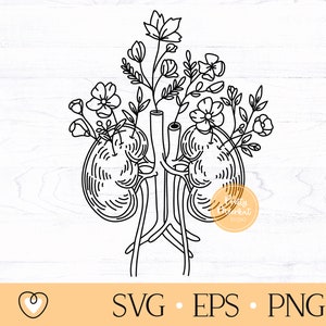 Kidneys svg, Floral Kidneys svg, Kidneys with  Wildflowers svg, png file