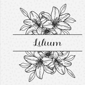 Lily flower border svg, split monogram svg, floral wedding monogram, half floral border svg