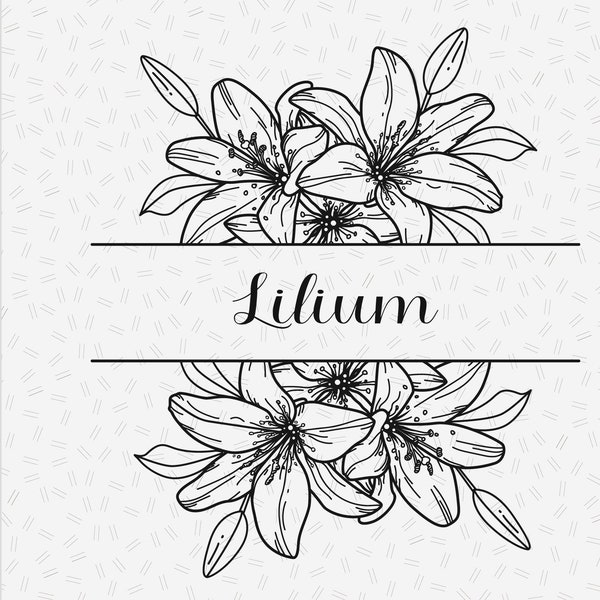 Lily flower border svg, split monogram svg, floral wedding monogram, half floral border svg