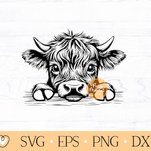 Baby Highland Cow svg, Highland Cow Peeking, Cute Highland Cow svg, Highland Cow svg, png