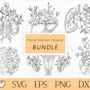 Floral Human Organs SVG Bundle: Anatomy Art (Digital Files)